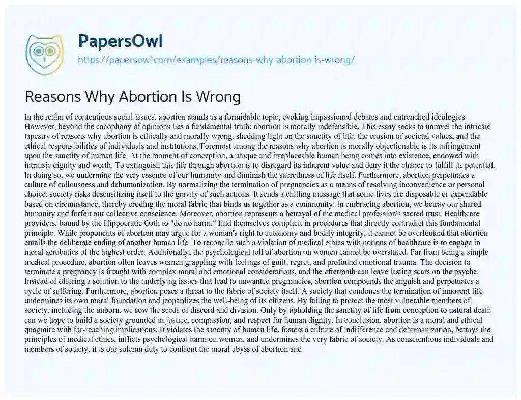 Essay on Reasons why Abortion is Wrong