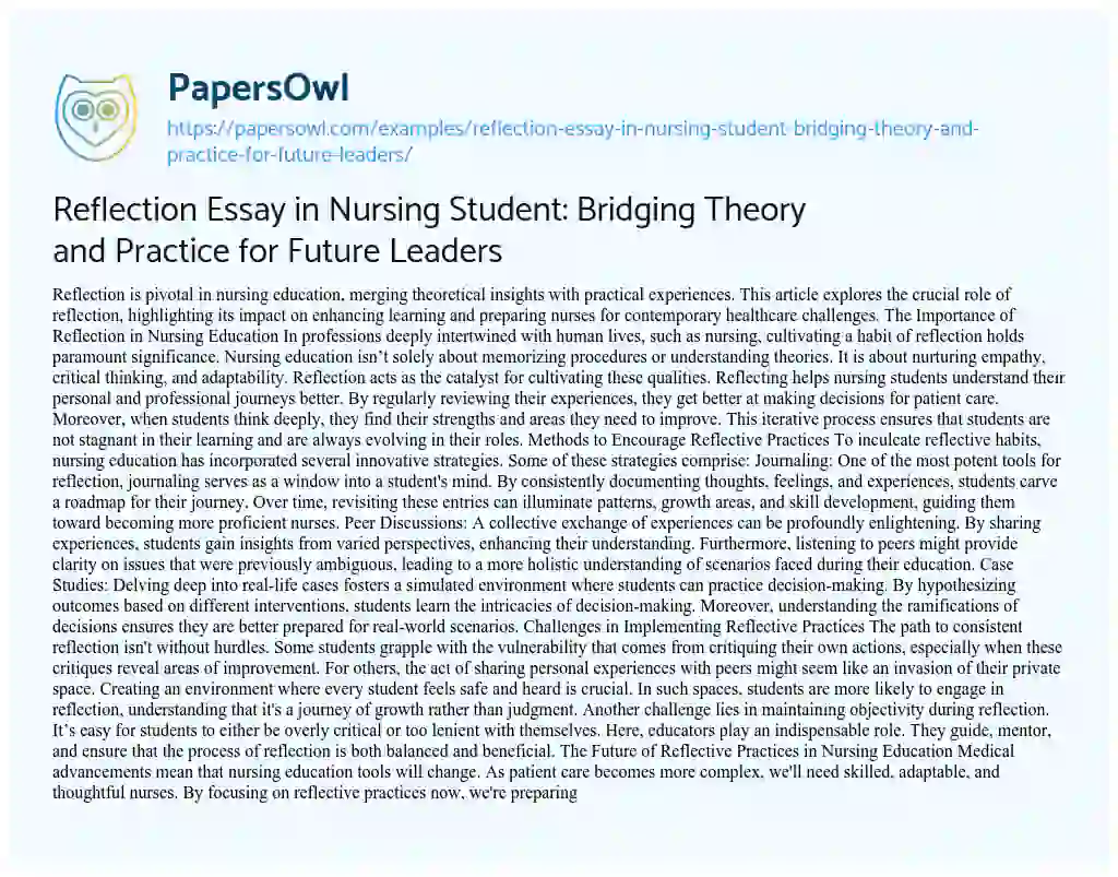 Essay on Reflection Essay in Nursing Student: Bridging Theory and Practice for Future Leaders