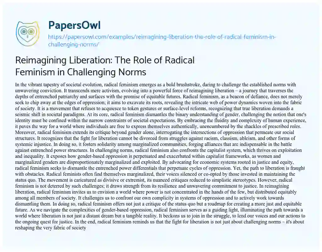 Essay on Reimagining Liberation: the Role of Radical Feminism in Challenging Norms