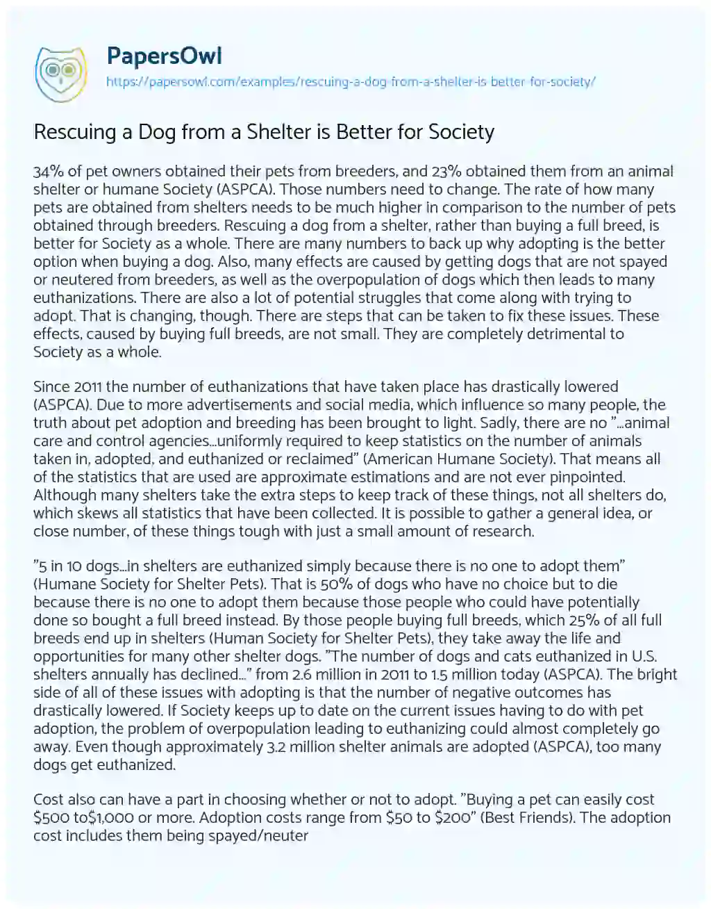 Essay on Rescuing a Dog from a Shelter is Better for Society