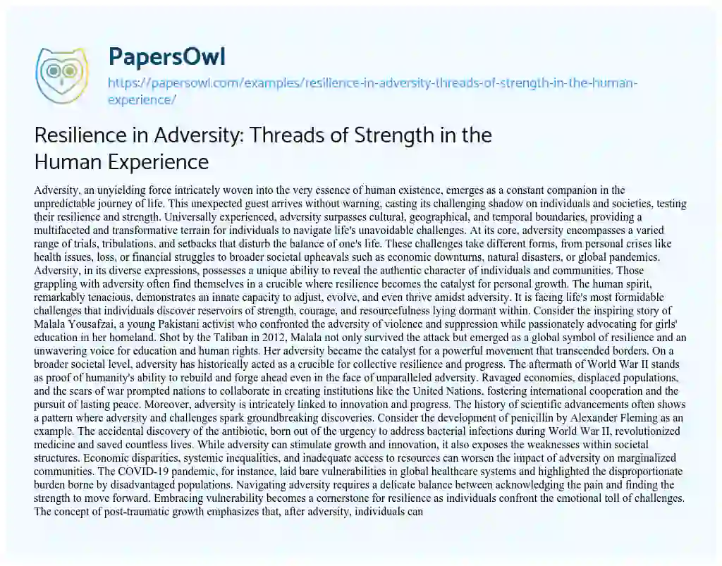 Essay on Resilience in Adversity: Threads of Strength in the Human Experience