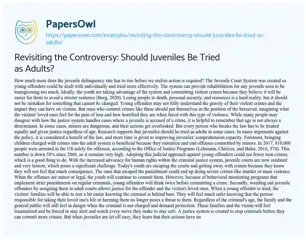 Essay on Revisiting the Controversy: should Juveniles be Tried as Adults?