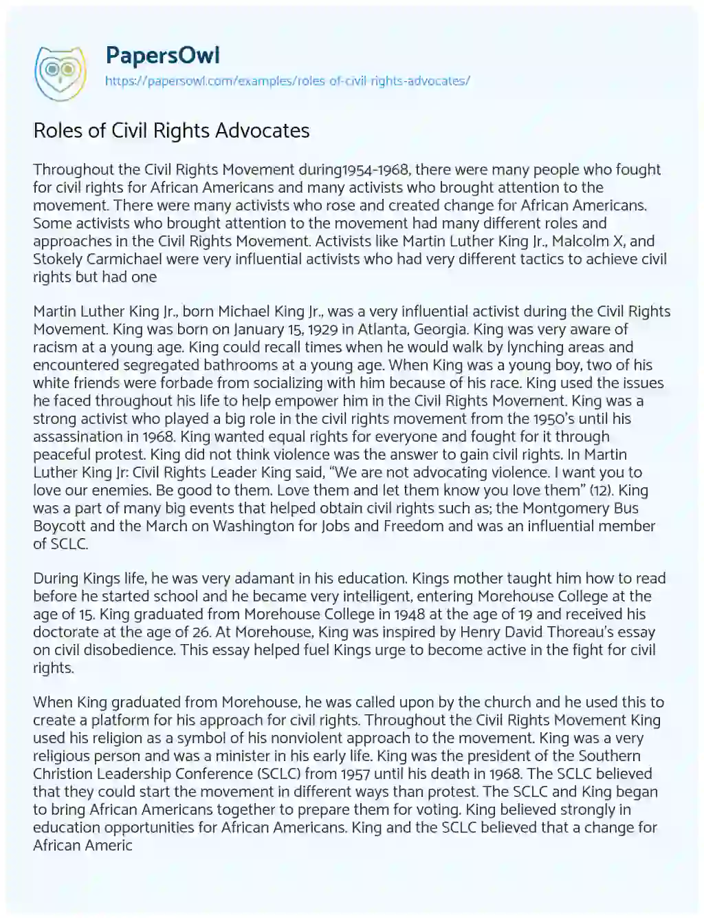 Roles of Civil Rights Advocates essay