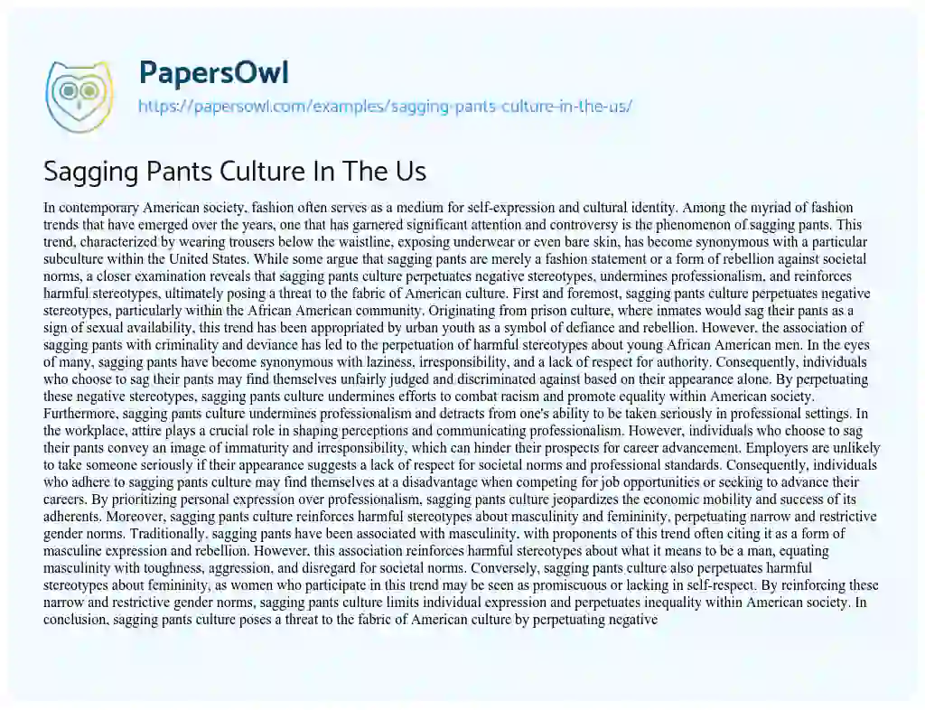 Essay on Sagging Pants Culture in the Us