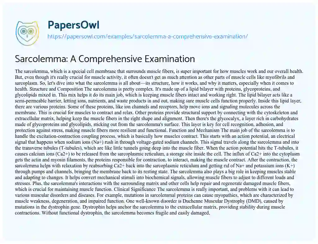 Essay on Sarcolemma: a Comprehensive Examination