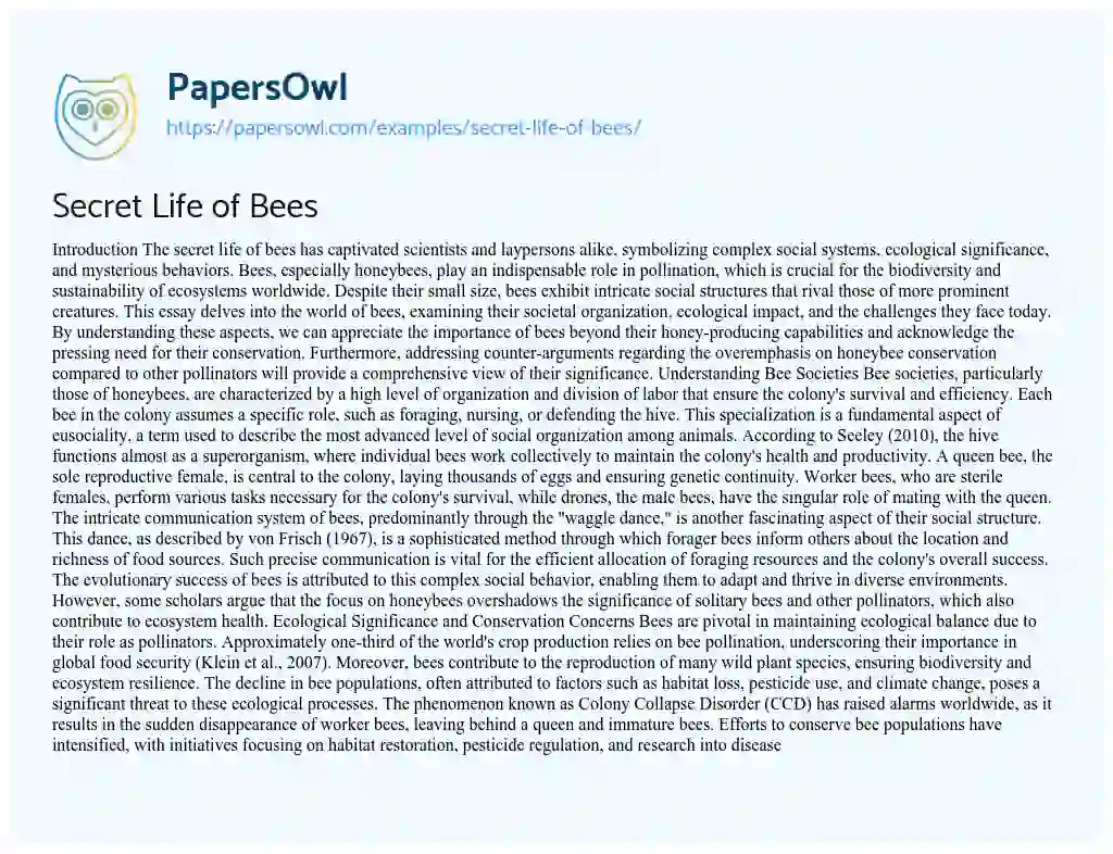 Essay on Secret Life of Bees