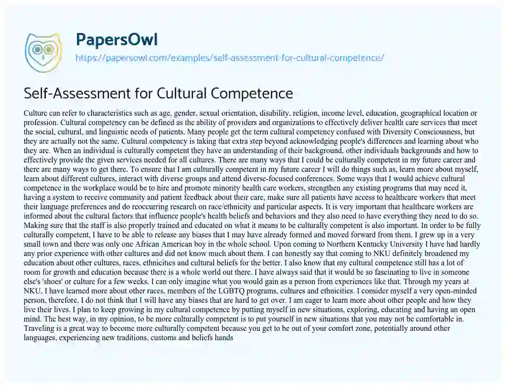 Essay on Self-Assessment for Cultural Competence