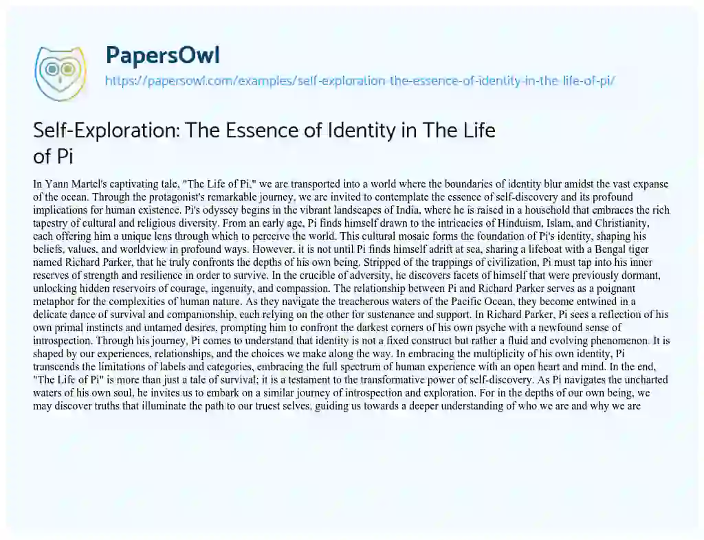 Essay on Self-Exploration: the Essence of Identity in the Life of Pi