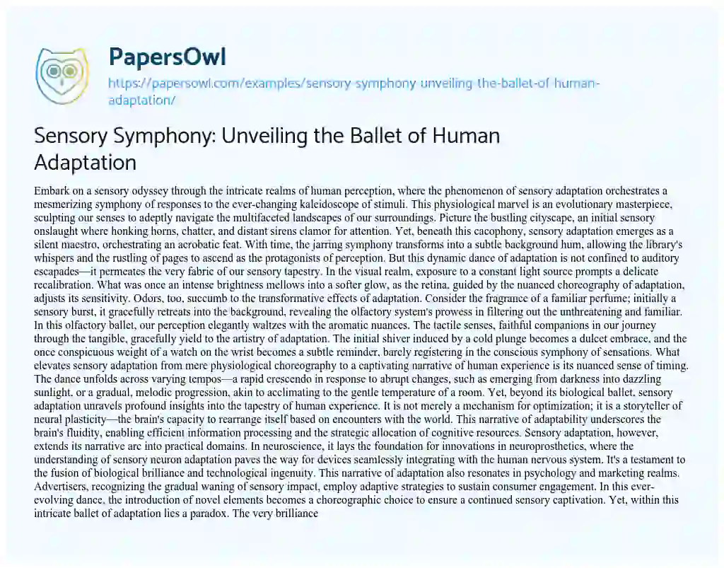 Essay on Sensory Symphony: Unveiling the Ballet of Human Adaptation