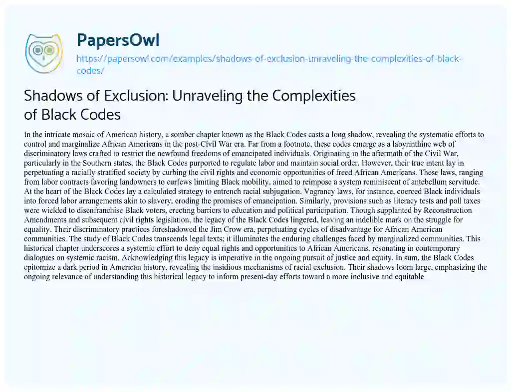 Essay on Shadows of Exclusion: Unraveling the Complexities of Black Codes
