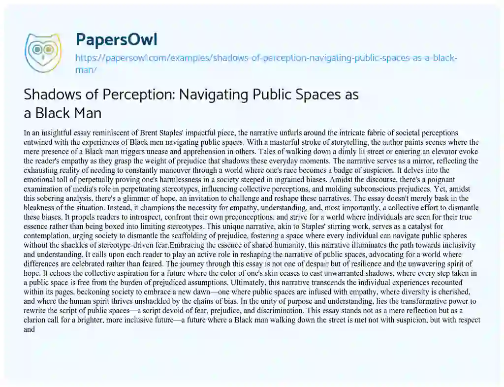 Essay on Shadows of Perception: Navigating Public Spaces as a Black Man