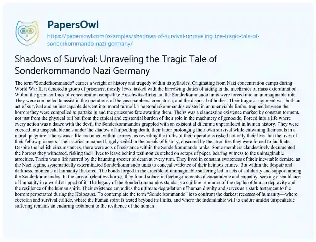 Essay on Shadows of Survival: Unraveling the Tragic Tale of Sonderkommando Nazi Germany