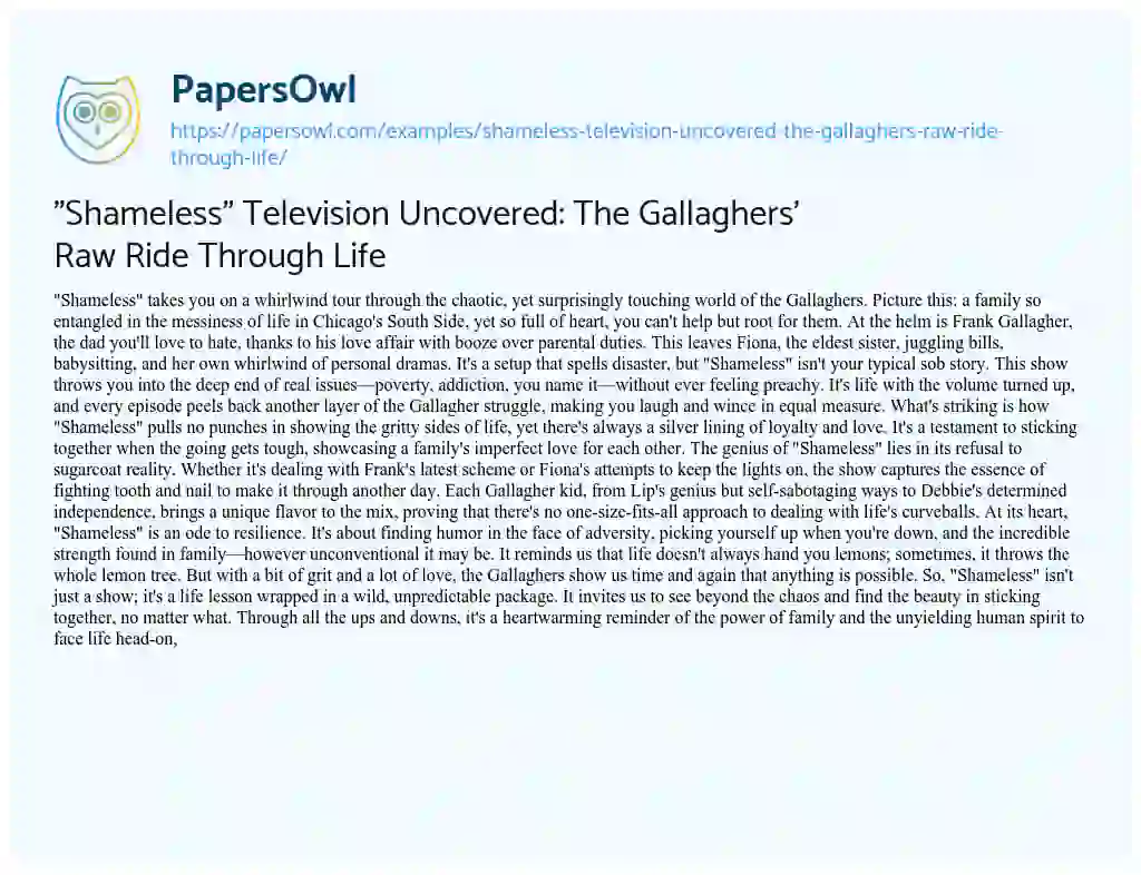 Essay on “Shameless” Television Uncovered: the Gallaghers’ Raw Ride through Life