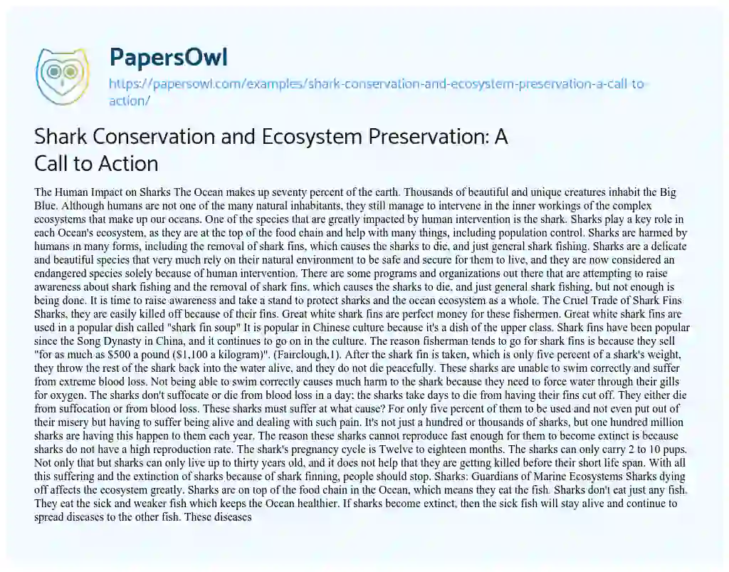 Essay on Shark Conservation and Ecosystem Preservation: a Call to Action