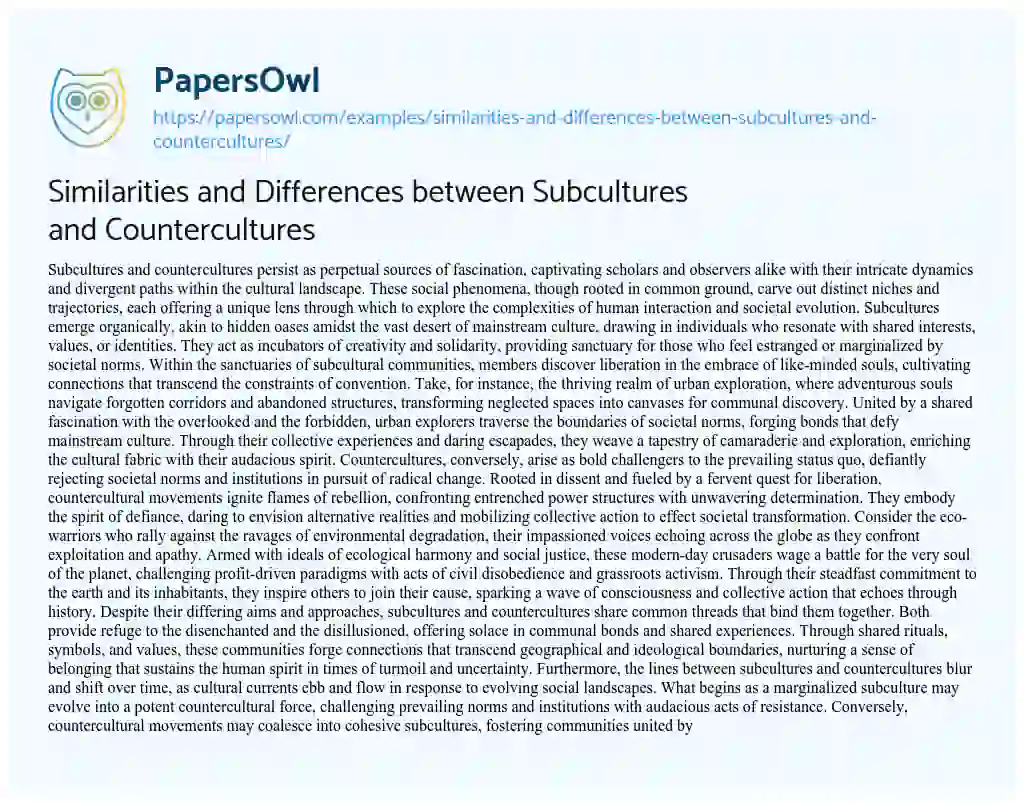 Essay on Similarities and Differences between Subcultures and Countercultures