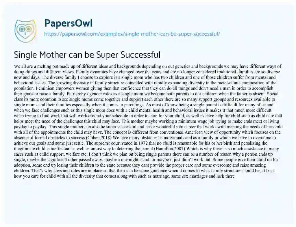 Essay on Single Mother Can be Super Successful