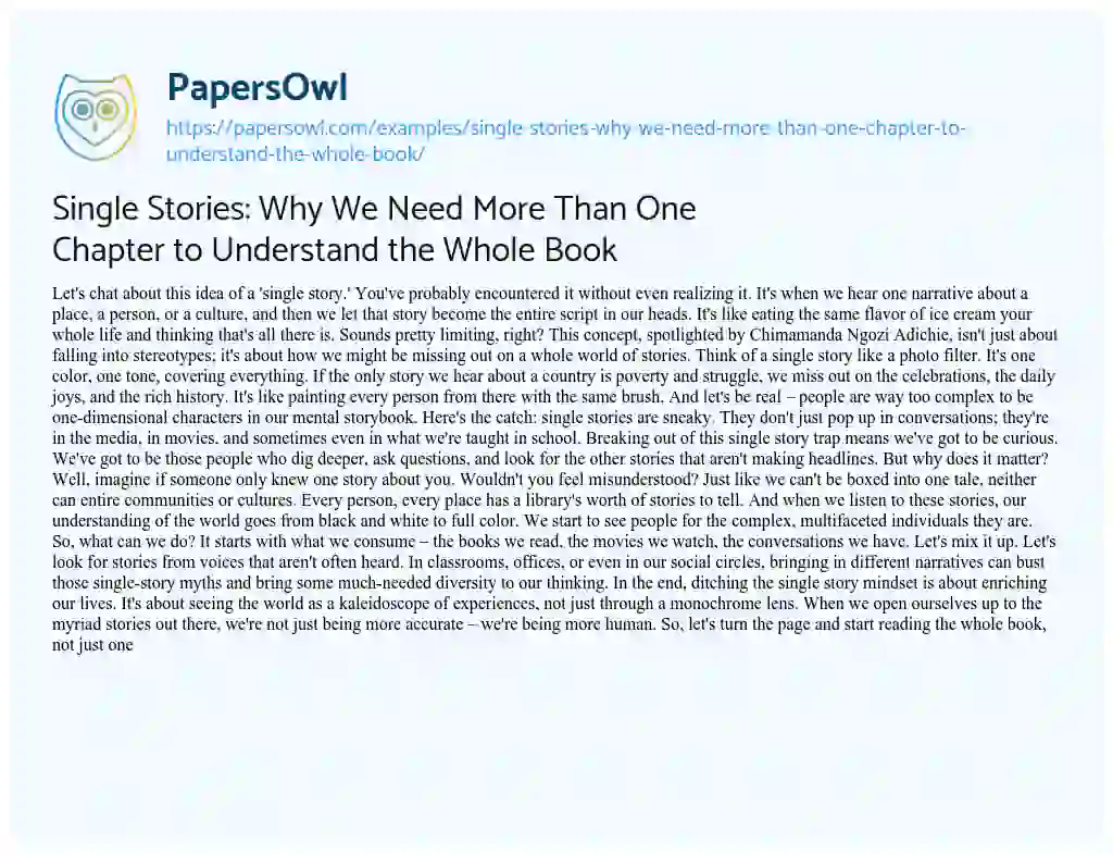 Essay on Single Stories: why we Need more than One Chapter to Understand the Whole Book