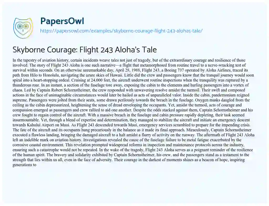Essay on Skyborne Courage: Flight 243 Aloha’s Tale