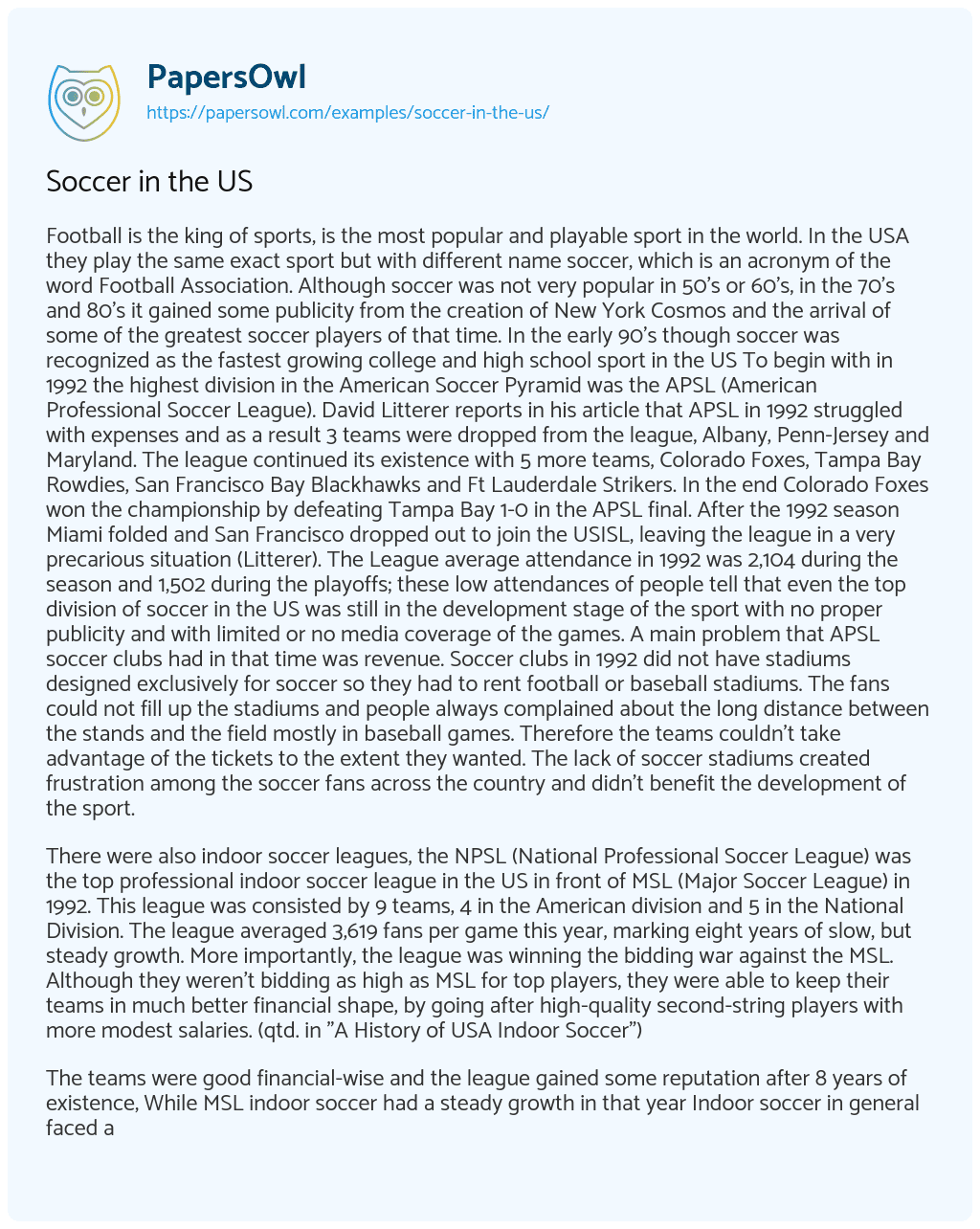Essay on Soccer in the US