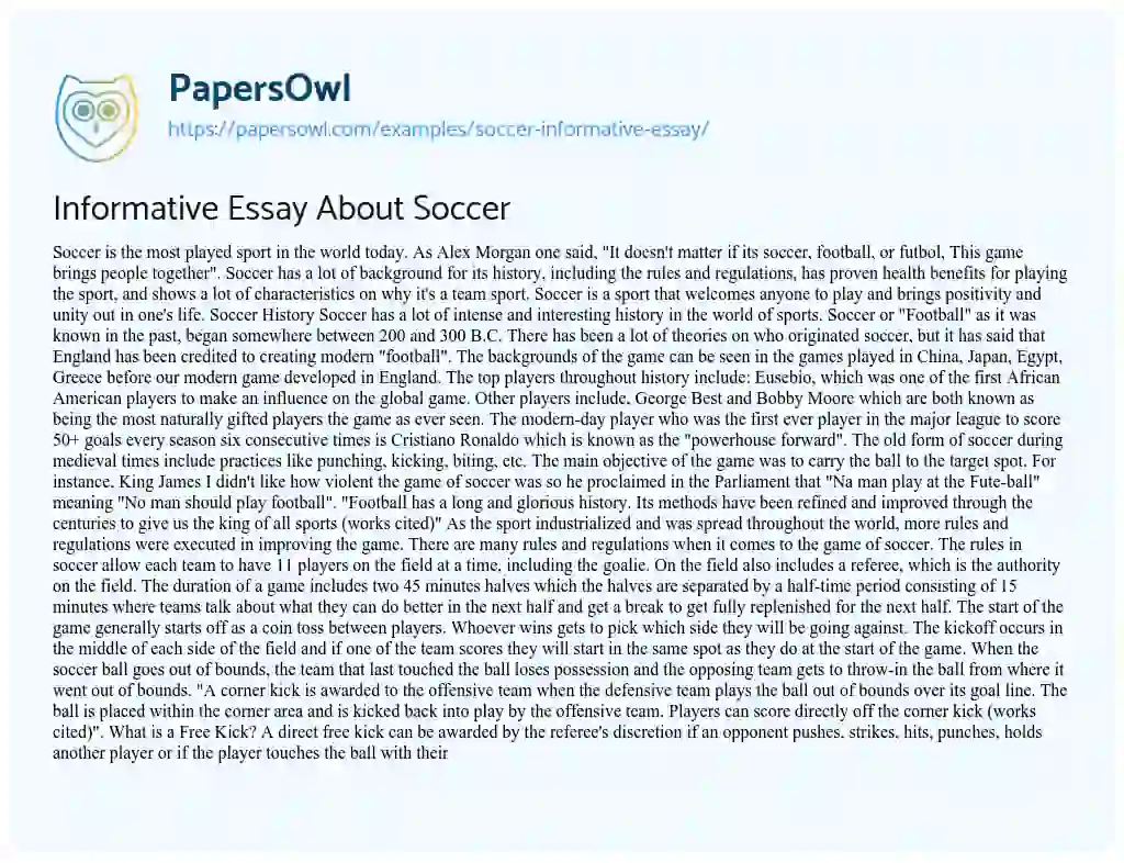 Essay on Informative Essay about Soccer