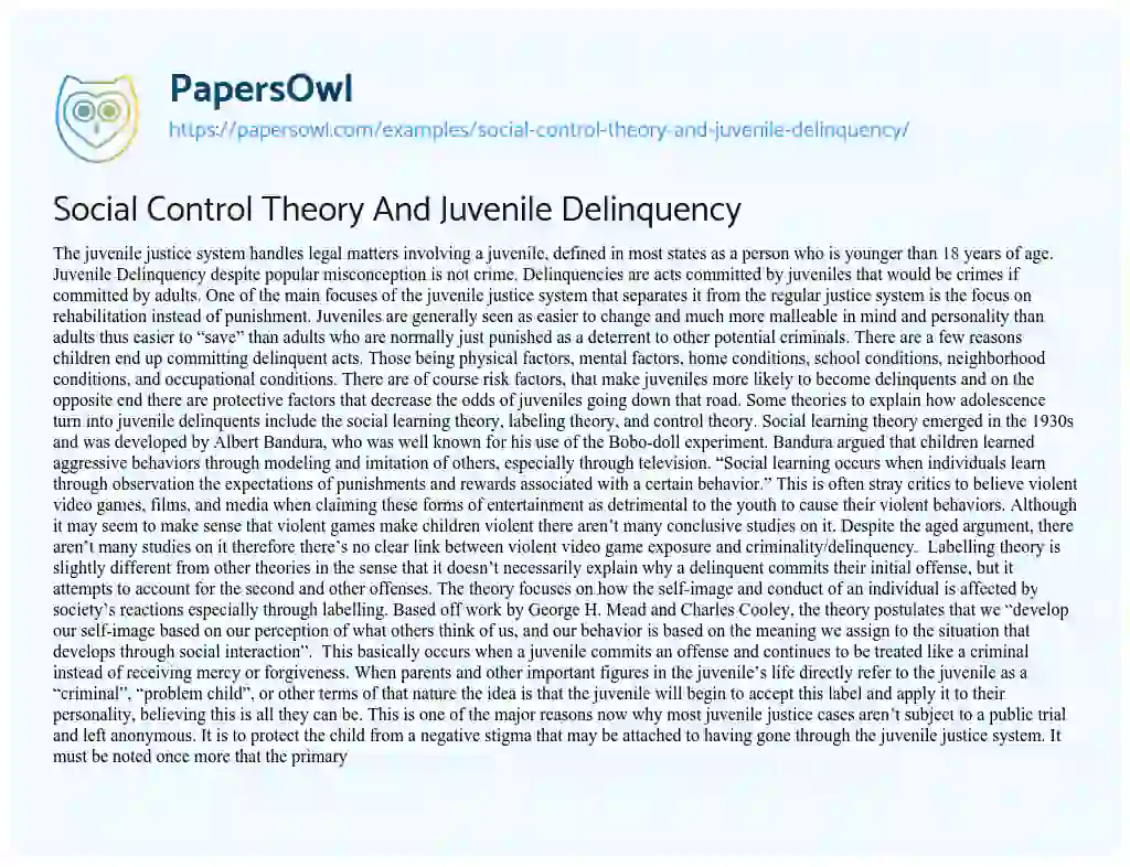 Essay on Social Control Theory and Juvenile Delinquency