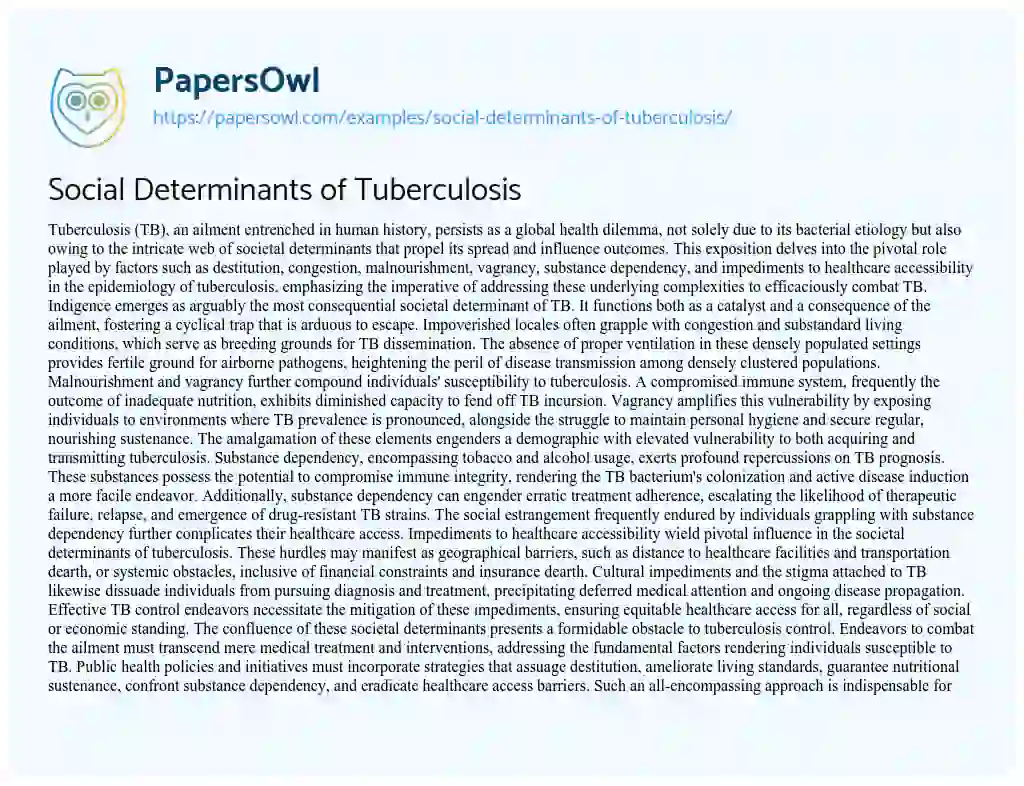 Essay on Social Determinants of Tuberculosis