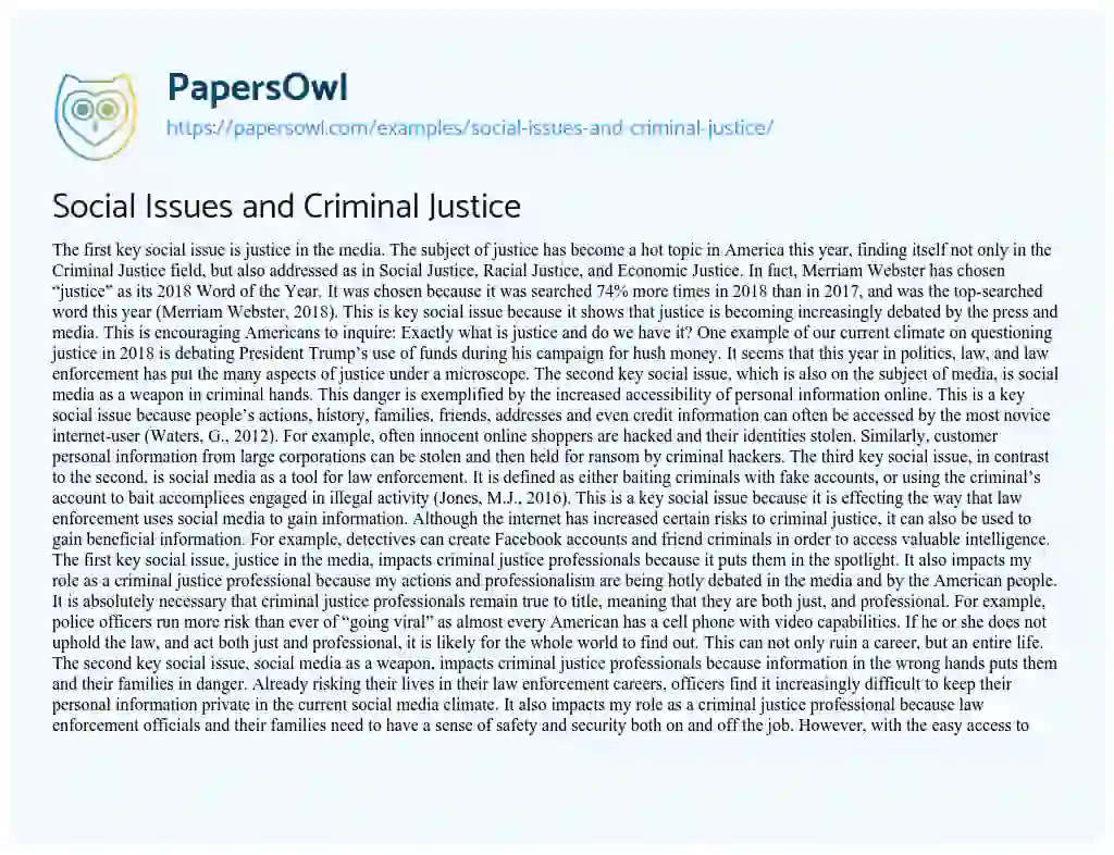 Essay on Social Issues and Criminal Justice