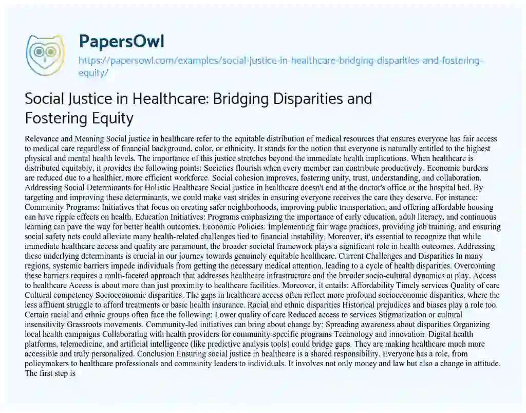 Essay on Social Justice in Healthcare: Bridging Disparities and Fostering Equity