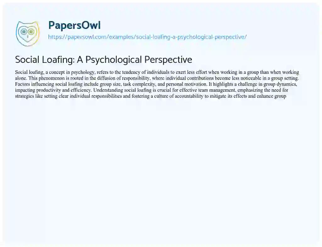 Essay on Social Loafing: a Psychological Perspective