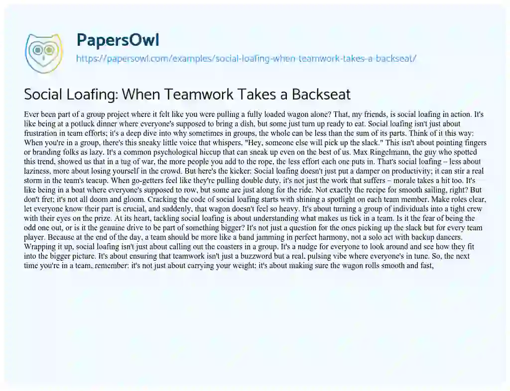 Essay on Social Loafing: when Teamwork Takes a Backseat