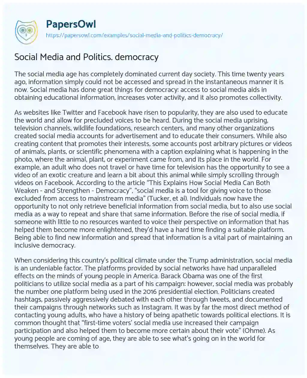 Essay on Social Media and Politics. Democracy
