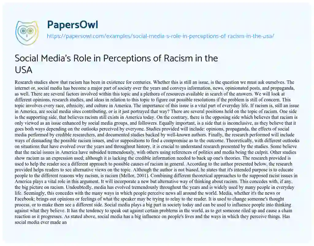 Essay on Social Media’s Role in Perceptions of Racism in the USA