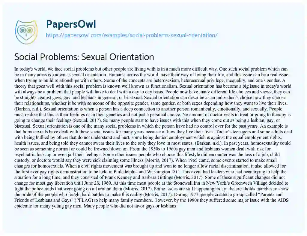 Social Problems: Sexual Orientation essay