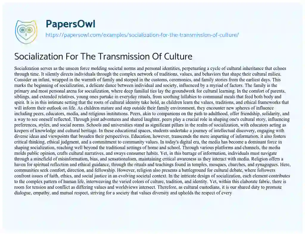 Essay on Socialization for the Transmission of Culture