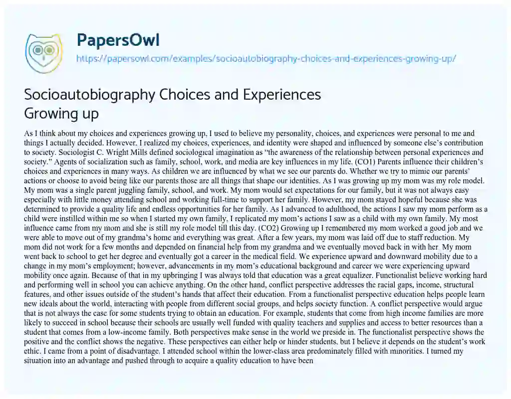 Essay on Socioautobiography Choices and Experiences Growing up