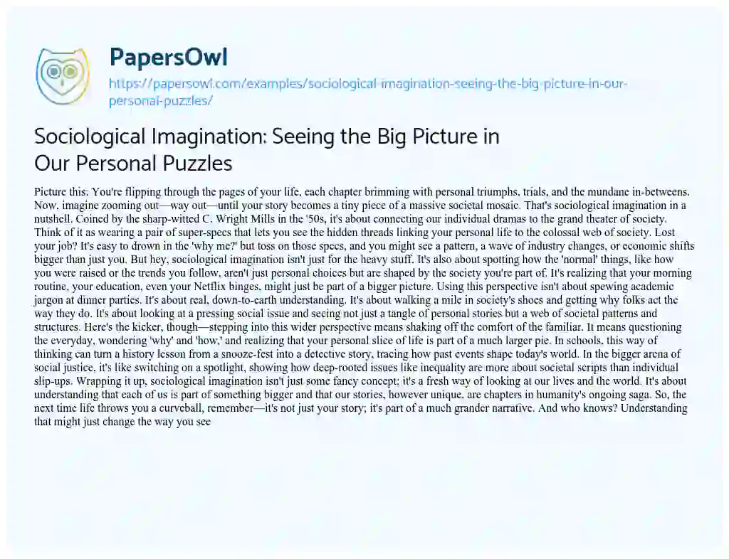 Essay on Sociological Imagination: Seeing the Big Picture in our Personal Puzzles