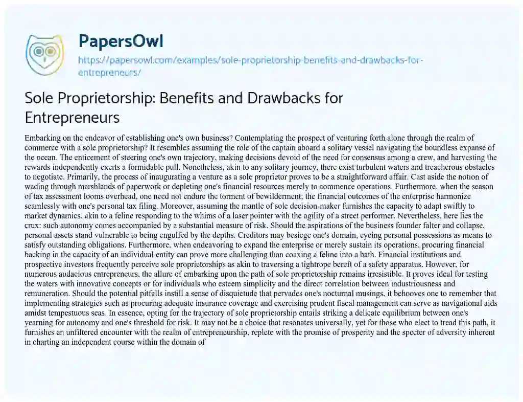 Essay on Sole Proprietorship: Benefits and Drawbacks for Entrepreneurs