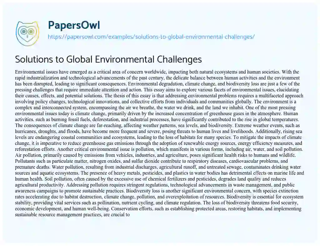 Essay on Solutions to Global Environmental Challenges