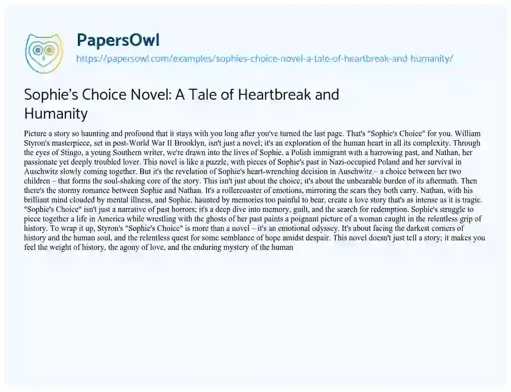 Essay on Sophie’s Choice Novel: a Tale of Heartbreak and Humanity