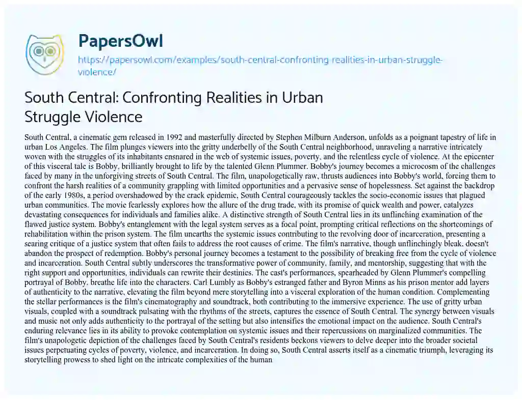 Essay on South Central: Confronting Realities in Urban Struggle Violence