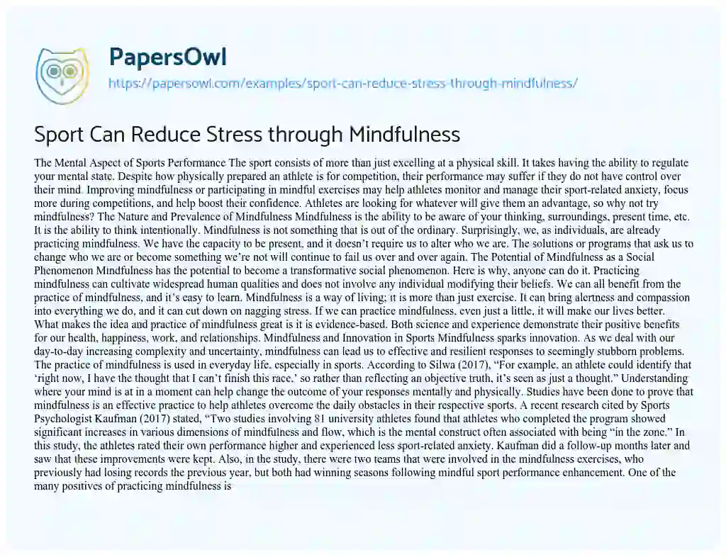 Essay on Sport Can Reduce Stress through Mindfulness