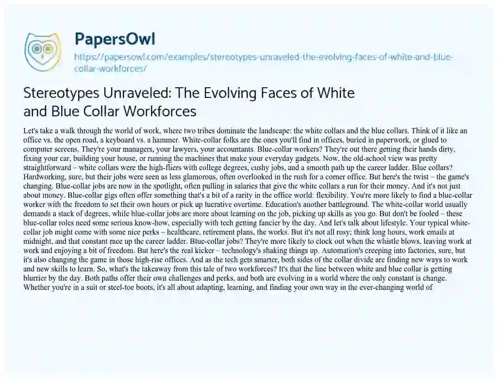 Essay on Stereotypes Unraveled: the Evolving Faces of White and Blue Collar Workforces
