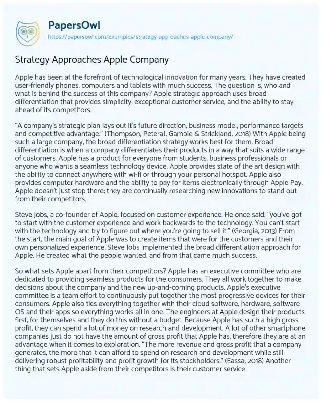 Strategy Approaches Apple Company essay