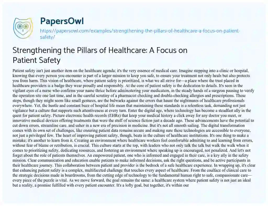 Essay on Strengthening the Pillars of Healthcare: a Focus on Patient Safety