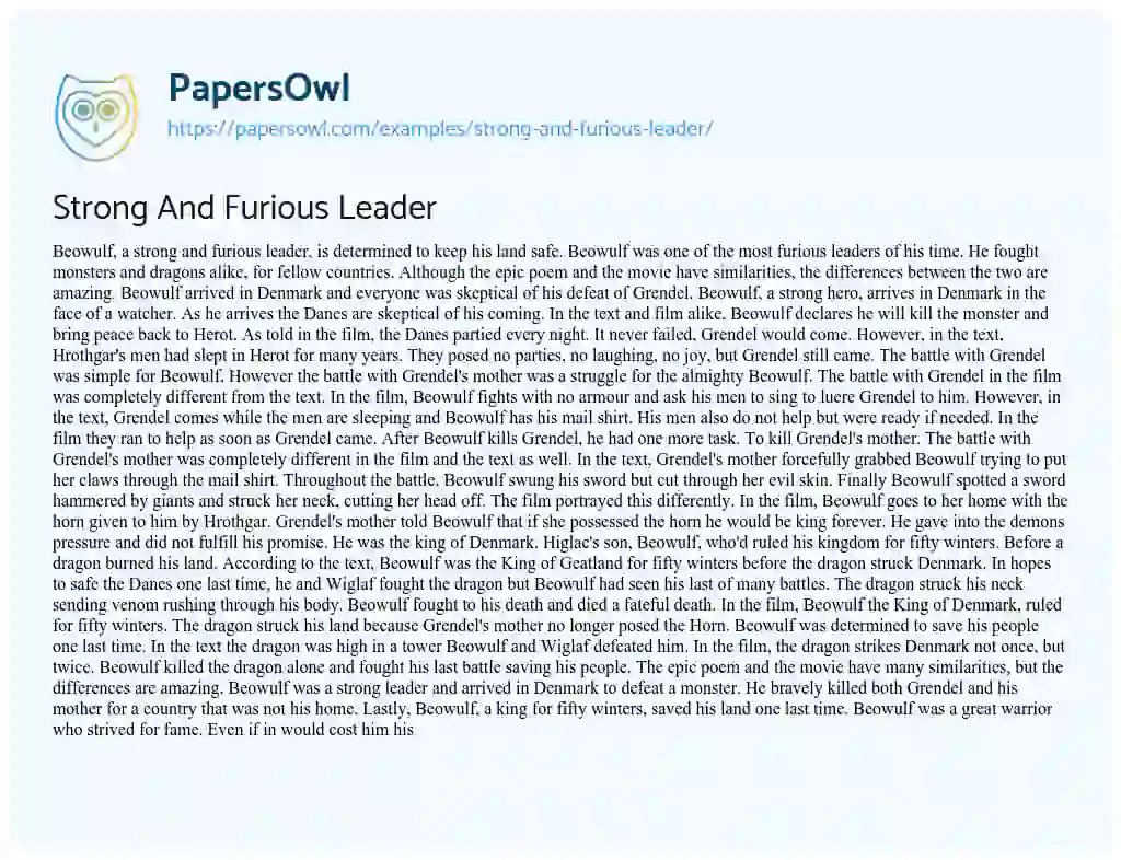 Essay on Strong and Furious Leader
