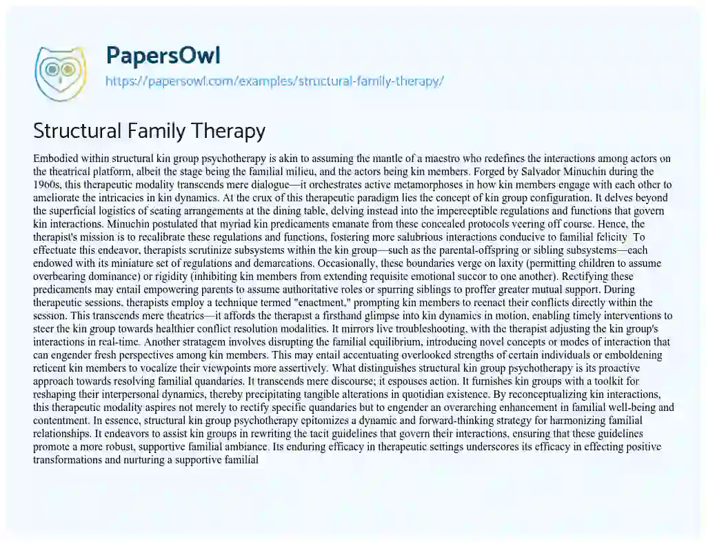 Essay on Structural Family Therapy