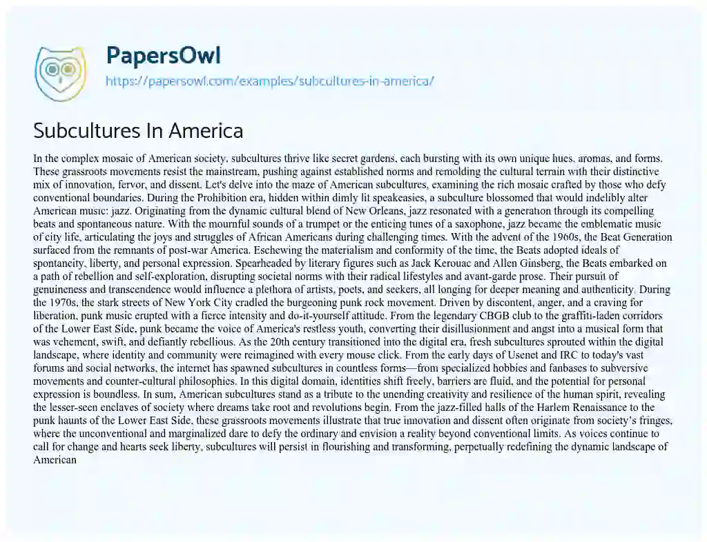 Essay on Subcultures in America