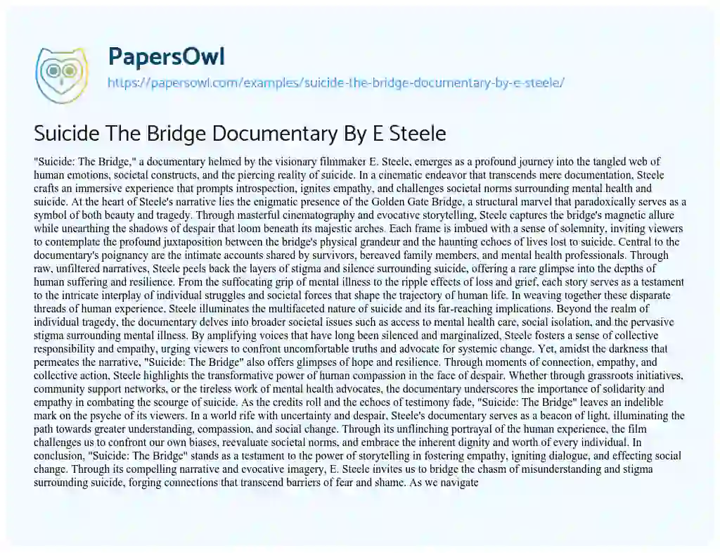 Essay on Suicide the Bridge Documentary by E Steele