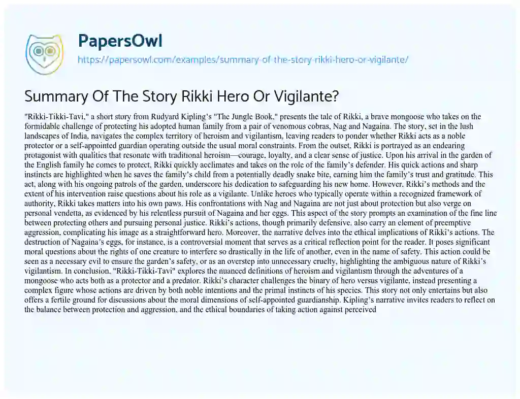 Essay on Summary of the Story Rikki Hero or Vigilante?