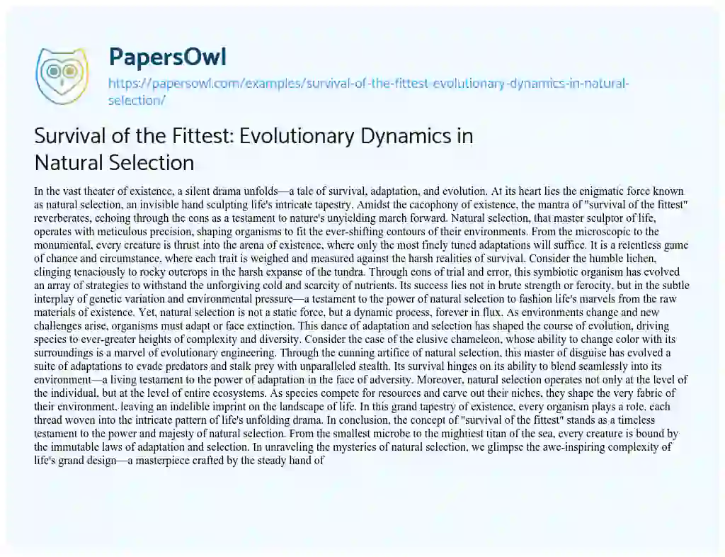 Essay on Survival of the Fittest: Evolutionary Dynamics in Natural Selection